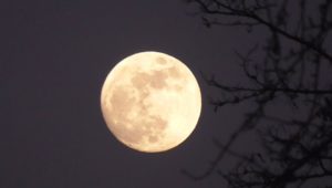 Super blue moon i zaćmienie raz na 150 lat